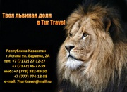 Tur Travel