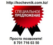  Турагентство 