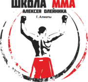 Смешанные единоборства (ММА)